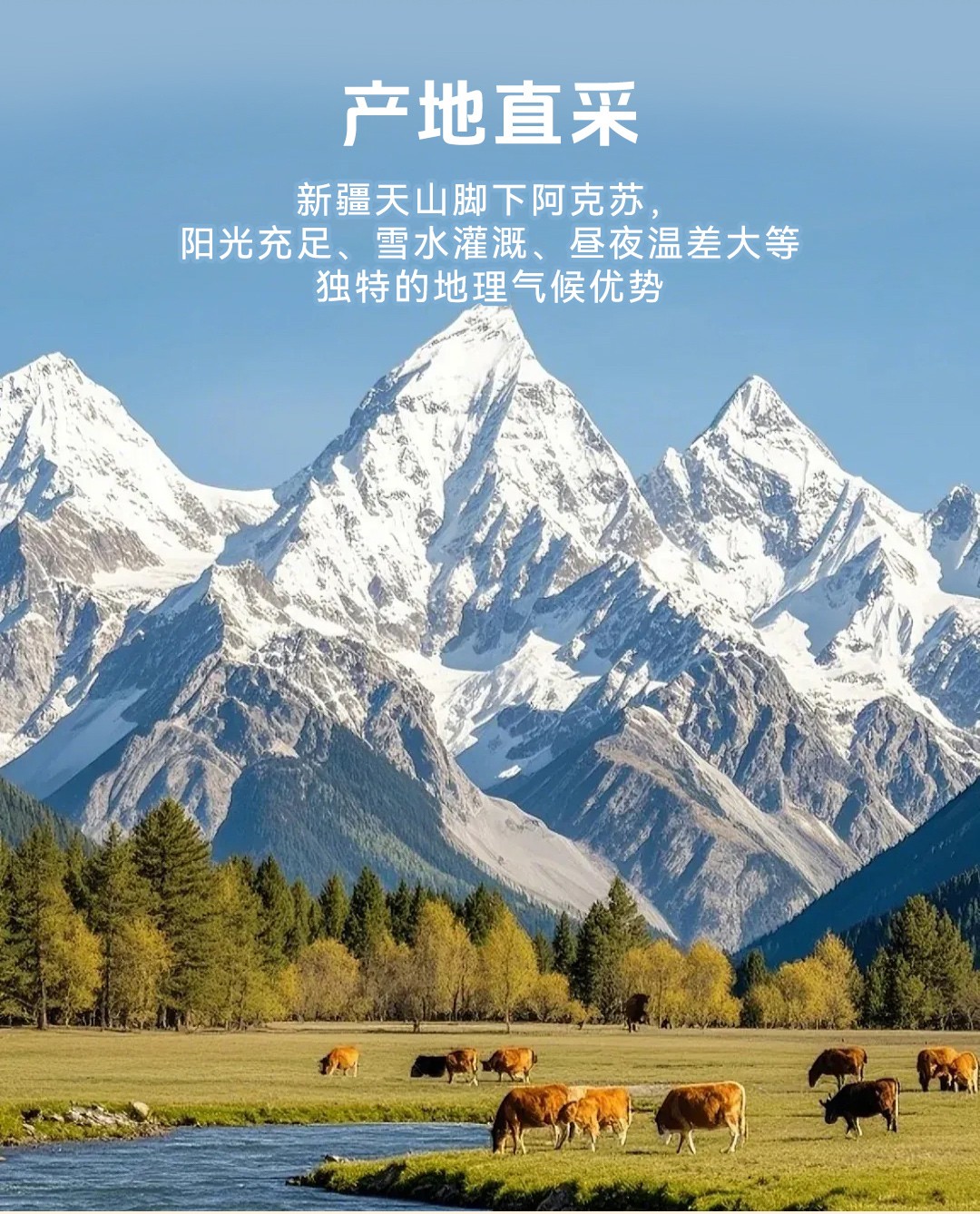 1775185534771029.jpg